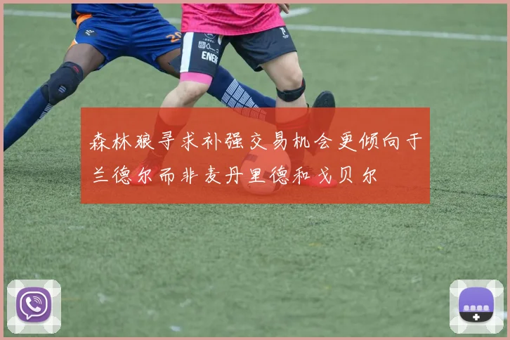 森林狼寻求补强交易机会更倾向于兰德尔而非麦丹里德和戈贝尔